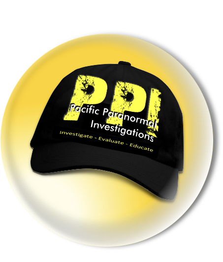 about ppi team ppi icon